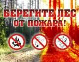 01 апреля 2014 г. - начало пожароопасного сезона в лесах, расположенных в лесном фонде Республики Калмыкия 