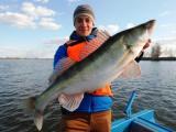 Апрельские  вести с рыбалки на Ахтубе в районе Парашкиной протоки – Полданиловки